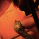 A hidden camera records a girl taking a shit while sitting on a toilet at a party. Background noises from the music and yelling mask the pooping sounds. The girl wipes her ass repeatedly when done. Over 4.5 minutes.